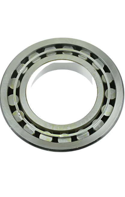 BEARING GENUINE DANA SPICER PARTS D225778 / 225778