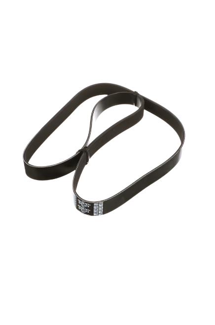FPT INDUSTRIAL SERPENTINE V-RIBBED BELT OEM 504038672