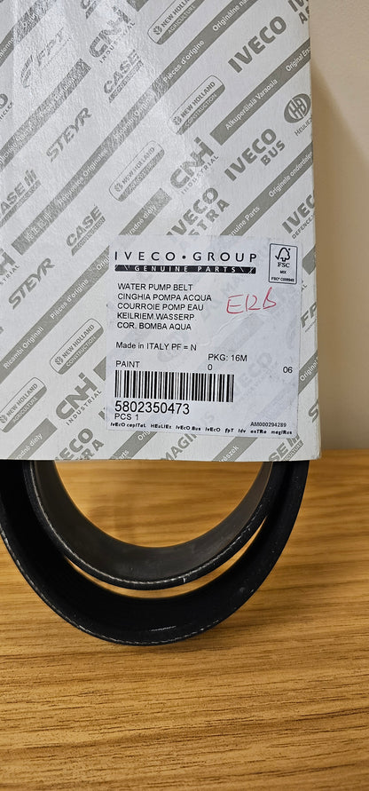 DRIVE BELT GENUINE FPT INDUSTRIAL PARTS 5802350473 / 504013617