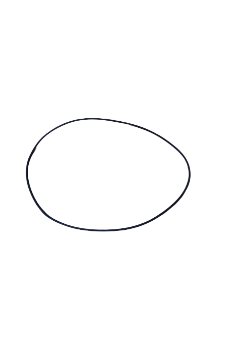 O-RING SEAL GASKET GENUINE DANA SPICER PARTS D176.0702901 / 176.07.029.01
