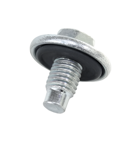 DRAIN PLUG STRAIGHT THREAD O-Ring 29565364