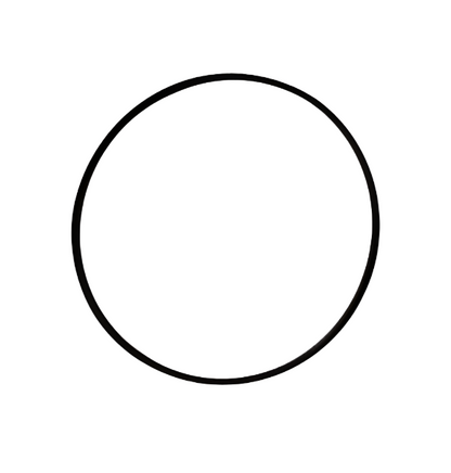 FILTER COVER SEAL O-RING GENUINE ALLISON TRANSMISSION 29548953
