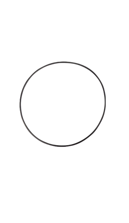 BRAKE AXLE PISTIN O-RING SEAL GENUINE DANA SPICER D112.0700801 / 112.07.008.01