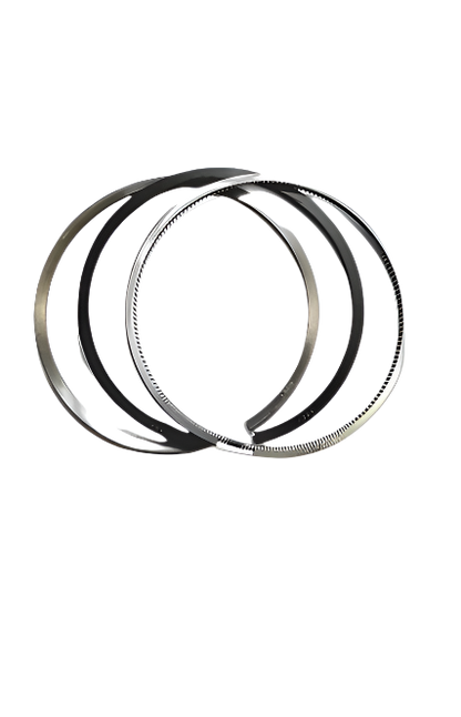 FPT INDUSTRIAL GENUINE PISTONRING SET OEM PARTS 2991564