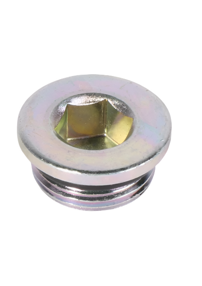 PLUG SCREW GENUINE DANA SPICER PARTS D112.0161008 / 112.01.610.08 / 355.14.610.02