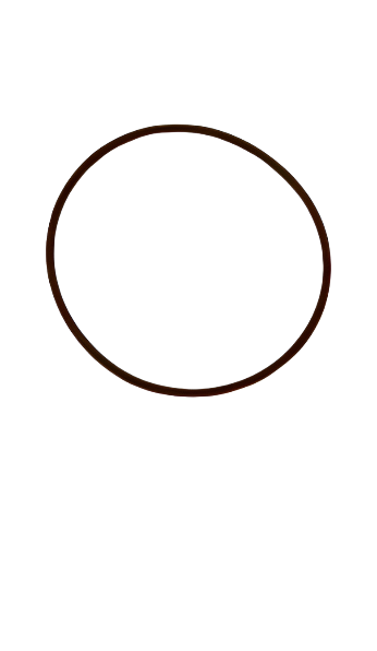 WATER PUMP GASKET FPT INDUSTRIAL PARTS GENUINE O-RING 17291281