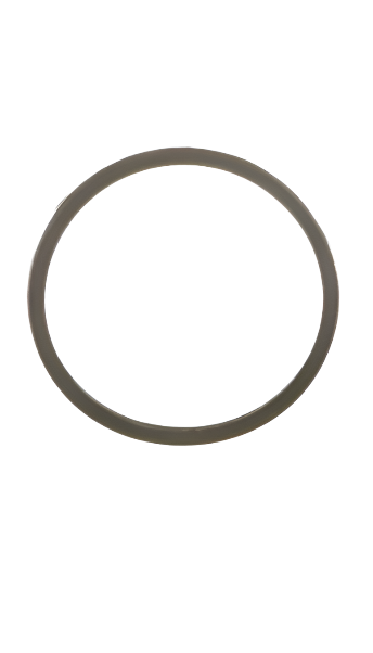 THERMOSTAT RUBBER GASKET GENUINE FPT INDUSTRIAL PARTS 504030960