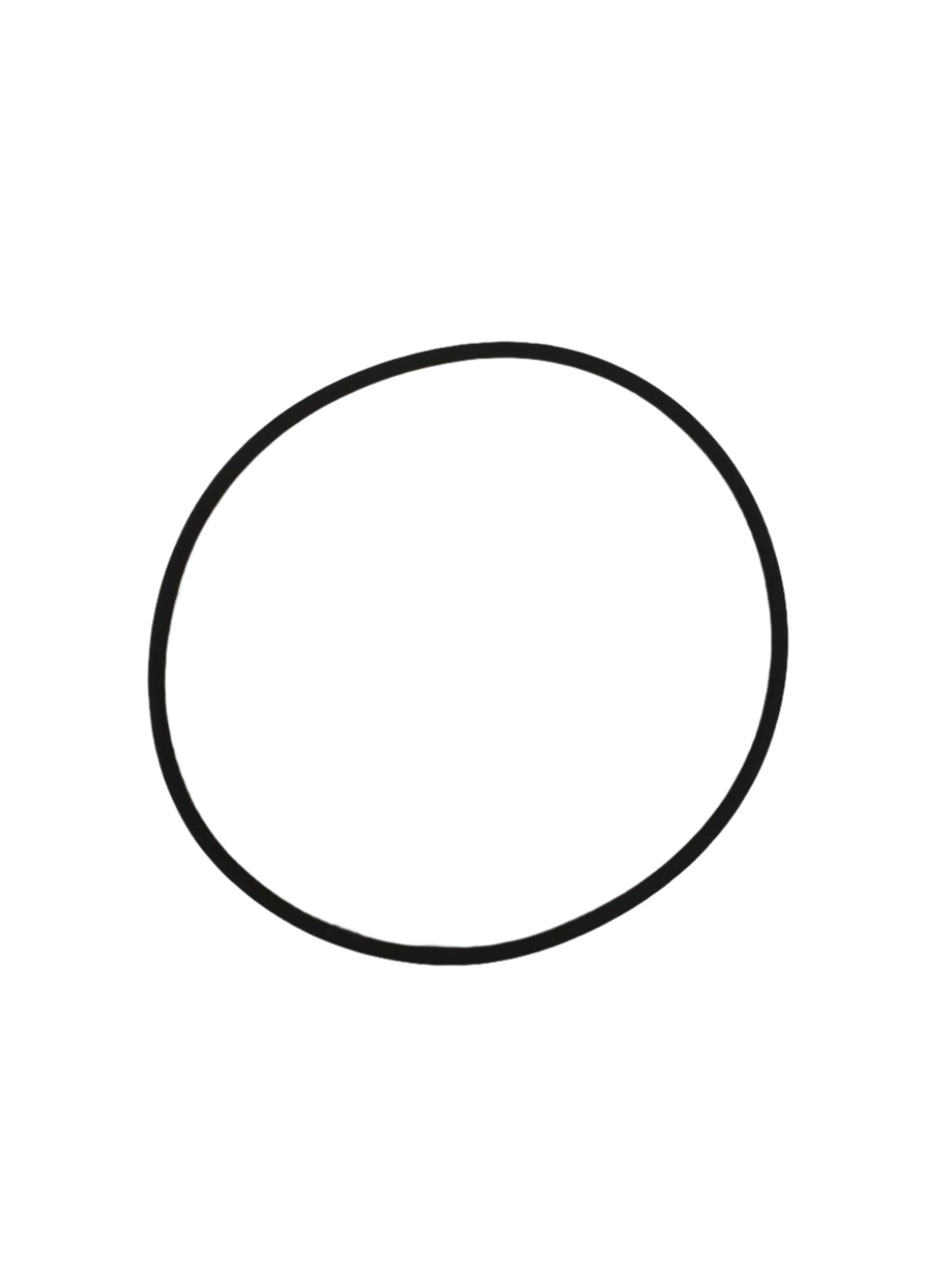 O-RING GENUINE DANA SPICER PARTS D738.0710201 / 738.07.102.01
