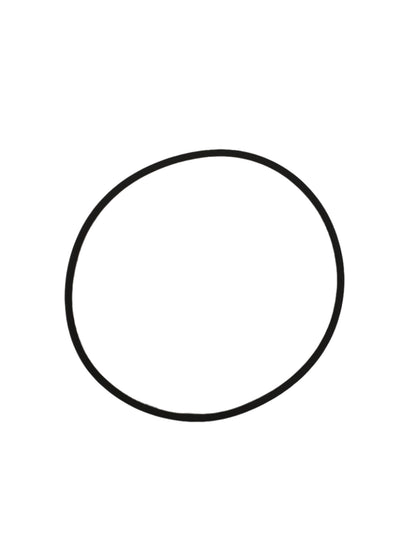 O-RING GENUINE DANA SPICER PARTS D738.0710201 / 738.07.102.01