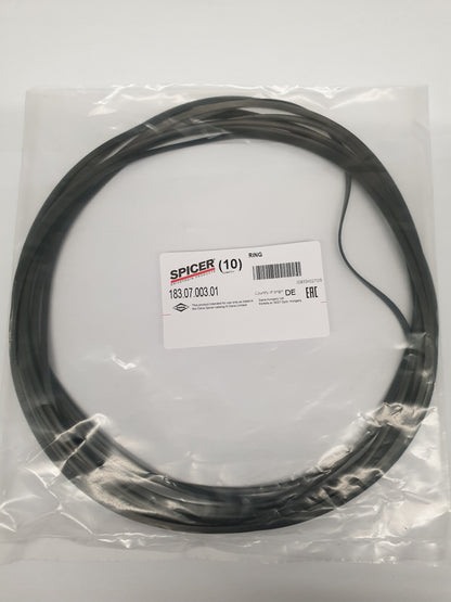 DIFFERENTIAL SEAL GASKET O-RING DANA SPICER D183.0700301 / 183.07.003.01